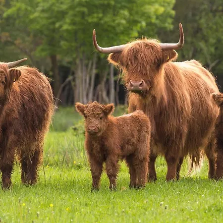 Διαμέρισμα 42 'vuursteenberg' Bospark Ijsselheide Zwolle *
