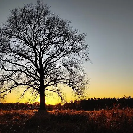 42 'vuursteenberg' Bospark Ijsselheide Zwolle Appartamento Hattemerbroek