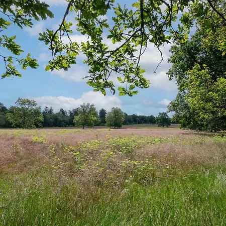 42 'vuursteenberg' Bospark Ijsselheide Zwolle Διαμέρισμα Hattemerbroek