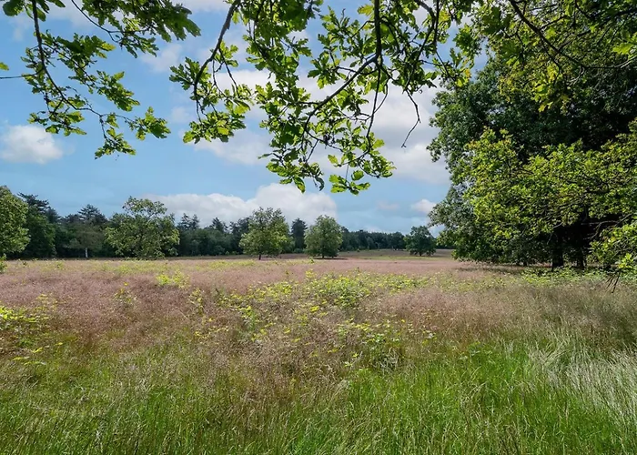 42 'vuursteenberg' Bospark Ijsselheide Zwolle Apartamento Hattemerbroek