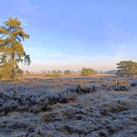 Apartament 42 'vuursteenberg' Bospark Ijsselheide Zwolle Hattemerbroek
