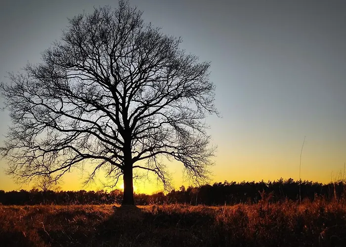 42 'vuursteenberg' Bospark Ijsselheide Zwolle Apartament Hattemerbroek