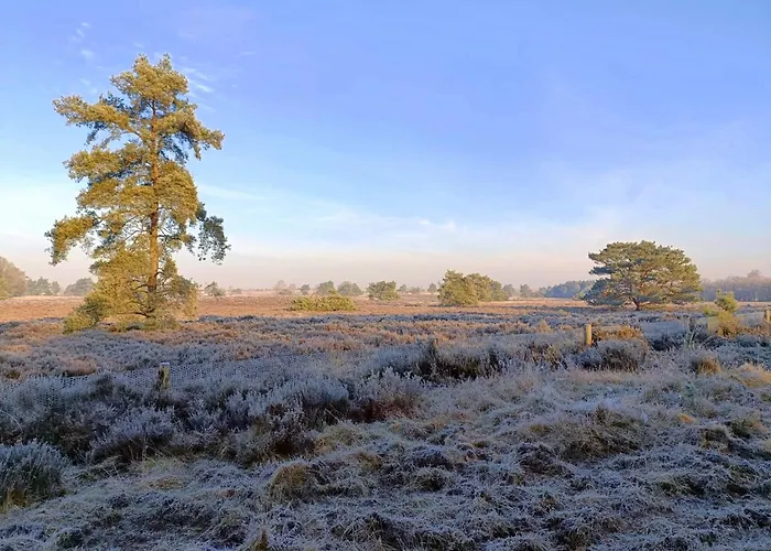 Apartament 42 'vuursteenberg' Bospark Ijsselheide Zwolle Hattemerbroek